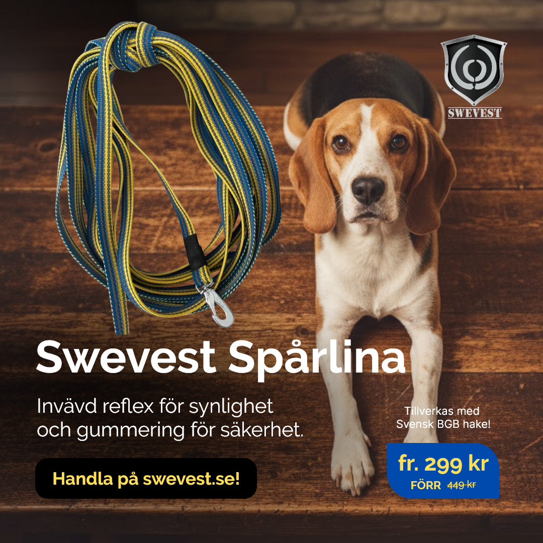 Swevest Spårlina annons med hund
